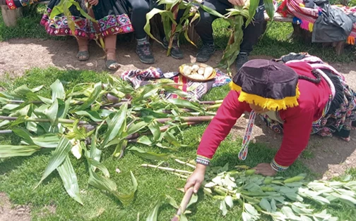 Authentic Pachamanca Ceremony in Amaru Community Cusco